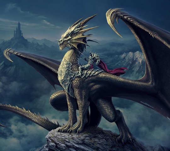 战宠昵称:黑暗魔龙骑士 角色名:神侨代尔 战宠简介:传自远古魔力,具有